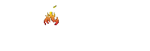 CrossFit FirePit